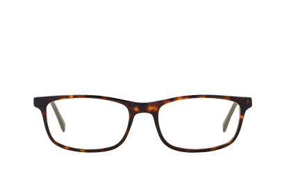 Tortoise Shell Computer Glasses Front View